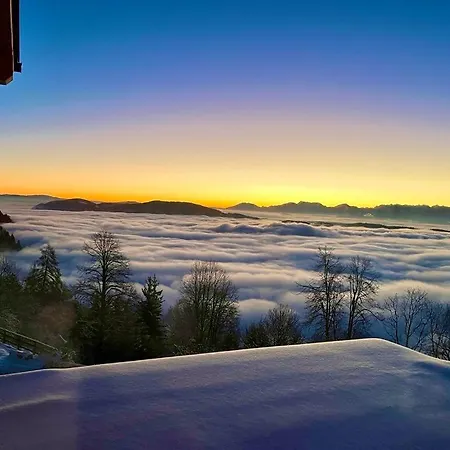 High Chair With View